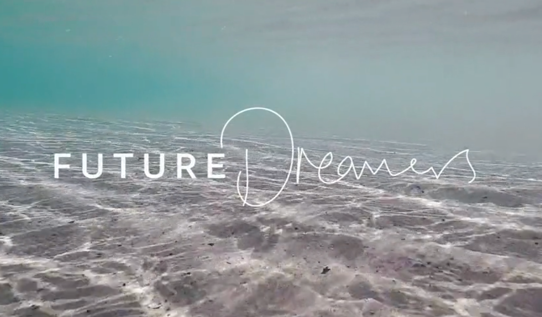 The Beach Meet hosted by Future Dreamers